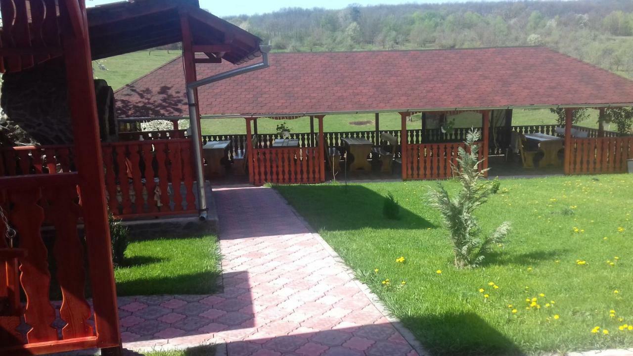 Hôtel Casa Leonardo à Haţeg Extérieur photo