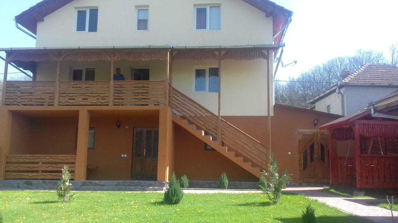 Hôtel Casa Leonardo à Haţeg Extérieur photo