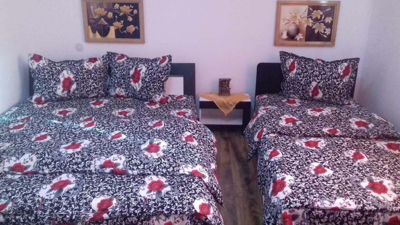 Hôtel Casa Leonardo à Haţeg Extérieur photo